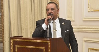 عضو مجلس الشيوخ: التشاور المصري الإماراتي يمثل صمام أمان للاستقرار العربي