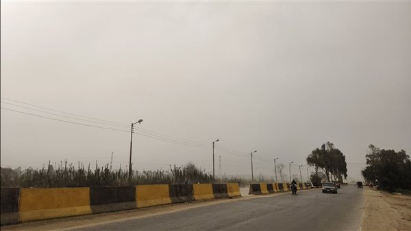 الدقهلية في قلب رياح الخماسين، طوارئ بالمحافظة وتحذيرات من الغبار (فيديو وصور)