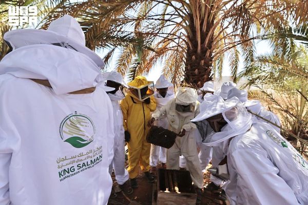 المملكة تسلّم خلايا النحل ومستلزمات إنتاج العسل لـ(20) مستفيدًا في سقطرى
