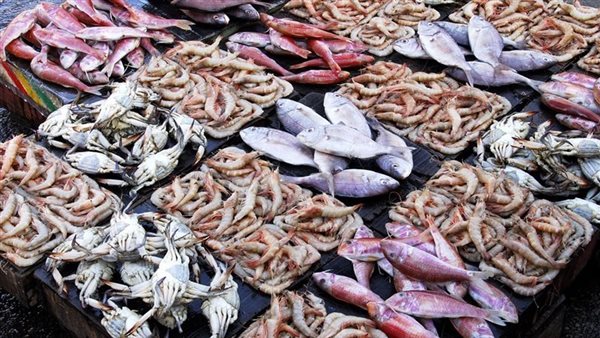 سعر السمك اليوم الأحد، البلطي يواصل انخفاضه في العيد وارتفاع الكابوريا 10 جنيهات