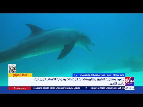 رئيس جهاز تنظيم إدارة المخلفات: خطة لحماية الشعاب المرجانية والتخلص الآمن من النفايات بالبحر الأحمر
