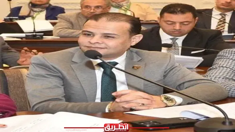 برلماني: توجيهات السيسي بصرف الحزمة الاجتماعية الجديدة قبل رمضان خطوة أساسية لتخفيف الأعباء عن المواطنين