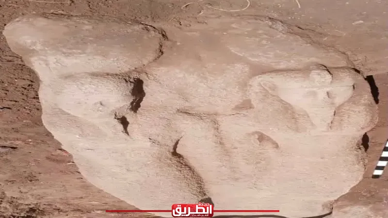 ومازالت أرض مصر تنبض بالحضارة تل فرعون بالشرقية يكشف عن تمثال ضخم للملك رمسيس الثاني