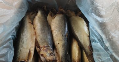 استعدادات كبيرة بمحال الأسماك المملحة استعدادا لعيد الفطر.. الفسيخ والرنجة والسردين أبرز المنتجات إقبالا.. أصحاب المحال: نبدأ فى الاستعداد للموسم منتصف شعبان.. الأهالي: طعم ومذاق لا يقاوم فى عيد الفطر