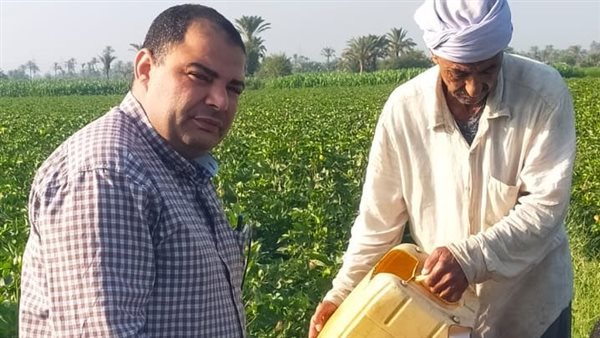 انطلاق الرشة الأولى لمكافحة ديدان اللوز بمحصول القطن.. و«زراعة الفيوم» تواصل المتابعة الميدانية لليوم الثاني على التوالي