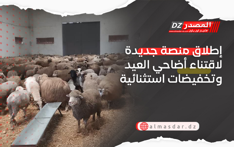 إطلاق منصة جديدة لاقتناء أضاحي العيد وتخفيضات استثنائية