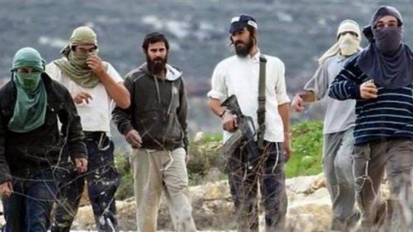 الأمم المتحدة: عنف المستوطنين في فلسطين بلغ مستويات غير مسبوقة