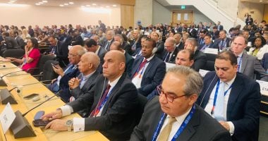 أمريكا والأرجنتين وإسرائيل يعترضون على وضعية فلسطين بـ"العمل الدولية"