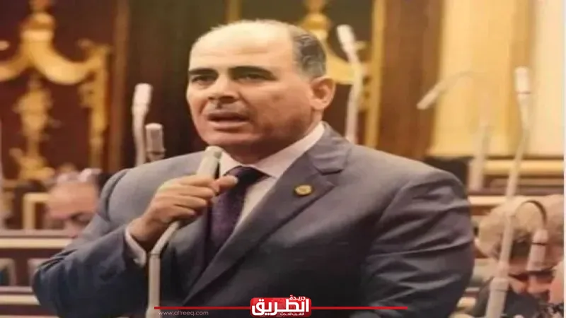 برلماني يشيد بجولة الرئيس السيسي الخليجية ويؤكد: مصر تتحرك لحماية الأمن القومي العربي