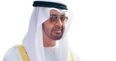 رئيسا الإمارات وتركيا يبحثان التطورات التى تشهدها المنطقة وتداعياتها على أمنها واستقرارها