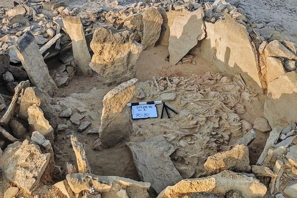 وزارة التراث والسياحة تصدر العدد الثاني من نشرة آثار