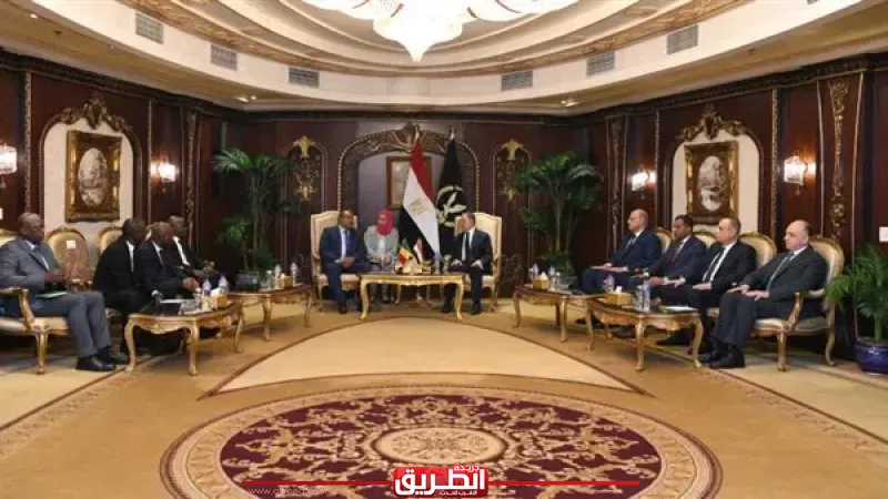 وزير الداخلية يبحث مع نظيره المالي تعزيز التعاون الأمني وتبادل الخبرات
