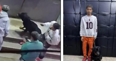 بعد سقوط مسجل خطر يستخدم كلب في الترهيب.. عقوبة رادعة تنتظر المتهم