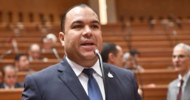 برلمانية المؤتمر بالنواب: تلاحم الشعب ووحدته حجر الأساس في استقرار الوطن وبناء الجمهورية الجديدة