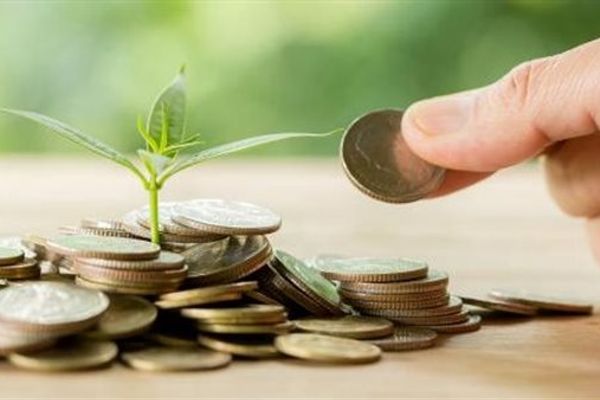 هل يجوز إخراج زكاة المال سلعا أو مواد عينية