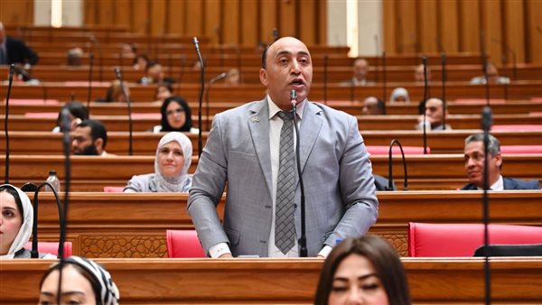 حسام حسن يفتح ملف مبادرة «القرية المنتجة» ويطالب بخطة واضحة للتنفيذ والاستدامة
