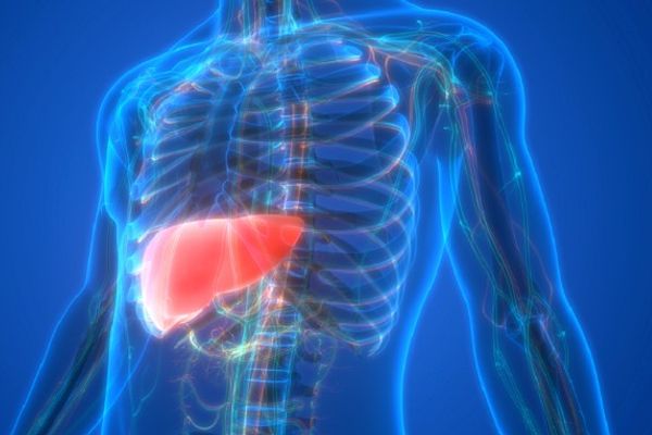فقدان العضلات لدى كبار السن.. عامل خطر محتمل لتليف الكبد