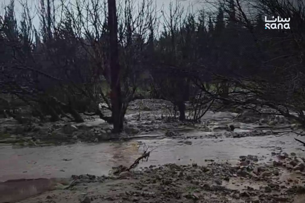 فيضانات في بلدة عناب بريف حماة الغربي جراء الأمطار الغزيرة