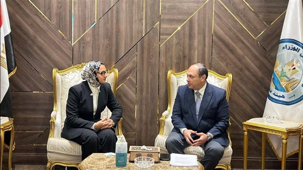 رئيس هيئة تنمية الصعيد يلتقي محافظ الوادي الجديد لبحث دعم المشروعات التنموية