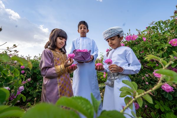 30 مارس الجاري.. انطلاق فعاليات مهرجان موسم ربيع الورد بمحافظة الداخلية