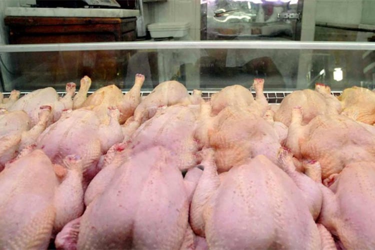 بـ330 دج للكيلوغرام… “أوناب” تضخ 2000 طن من الدجاج لضبط الأسعار