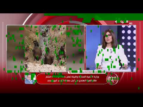 وزارة التنمية المحلية والبيئية تعلن خطة مواجهة انتشار طائر المينا من أجل حماية التنوع البيولوجي