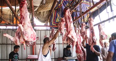اللحمة بكام؟.. أسعار اللحوم فى كفر الشيخ السبت 21 فبراير 2026