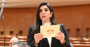 برلمانية: توجيهات الرئيس السيسى بسرعة حسم قوانين الأسرة انتصار للمجتمع