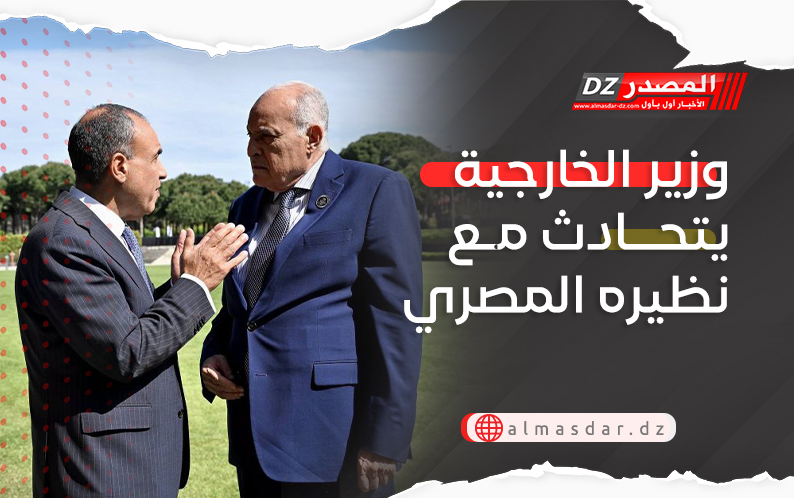 وزير الخارجية يتحادث مع نظيره المصري