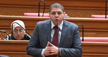 نائب: تخصيص شريحة جديدة للأطفال يحمى النشء من مخاطر الإنترنت
