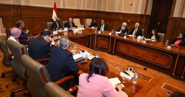 خارجية الشيوخ تستعرض رؤية مصر تجاه إفريقيا: الحلول أساس مواجهة الأزمات