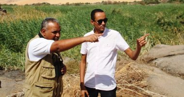5 أنواع نادرة تحلق فوق سماء مصر بالتزامن مع هجرة الطيور