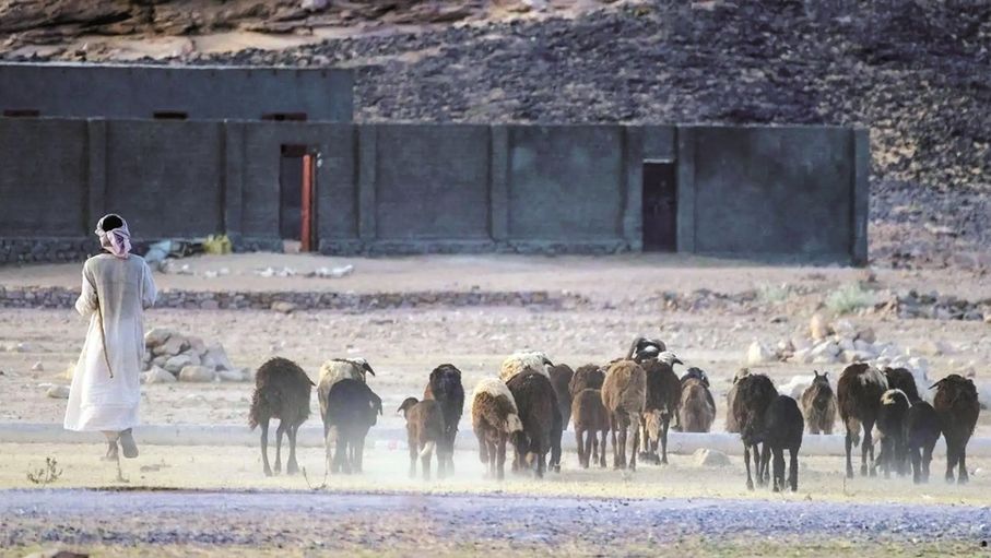 الإذلال في العثور على قواعد إسرائيلية سرية في العراق