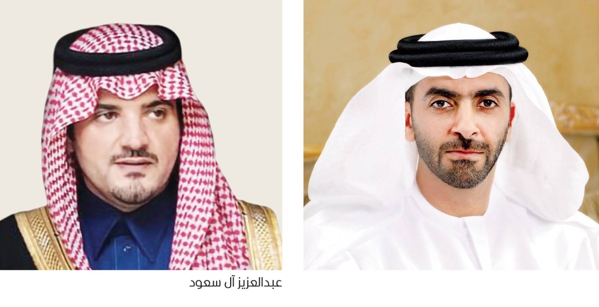 سيف بن زايد يبحث هاتفياً مع وزير الداخلية السعودي أوضاع المنطقة والاعتداءات الإيرانية الغاشمة