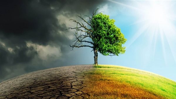 أستاذ فيروسات: العالم يواجه تحولات صحية خطيرة بسبب اضطرابات المناخ العالمية