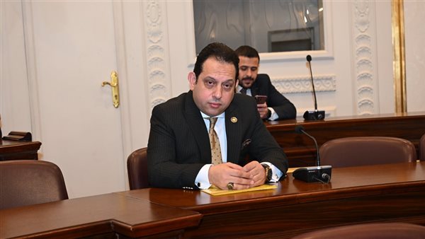 النائب محمد الجندي يطالب بتشديد الرقابة على الأسواق وتطوير دور البورصة السلعية
