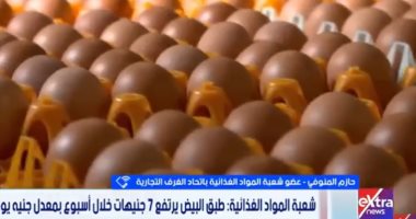 الغرف التجارية: 130 جنيها السعر العادل لطبق البيض والزيادة 7 جنيهات