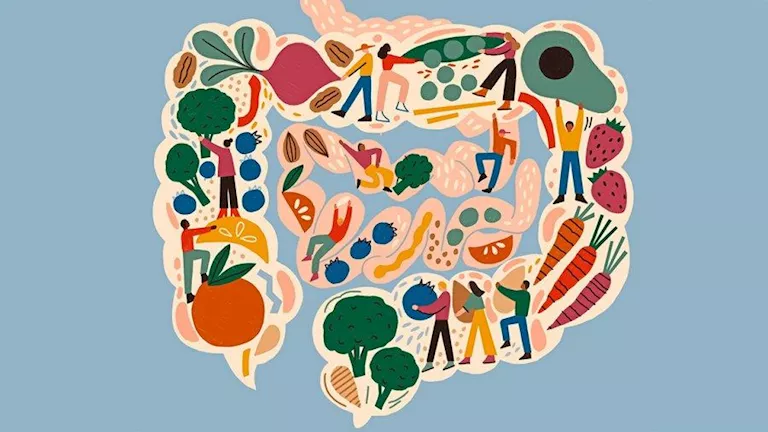 أطعمة تحافظ على صحة الأمعاء في رمضان- تناولها