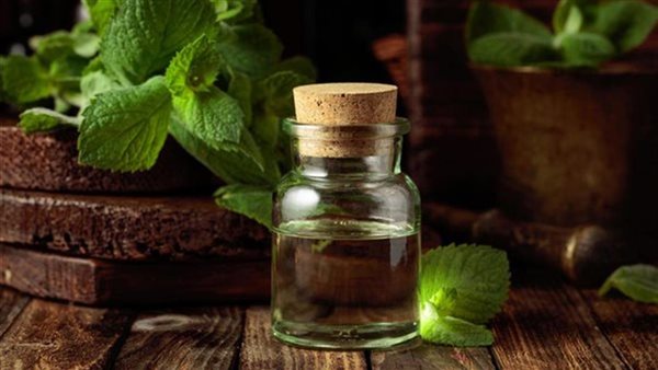طرق استخدام زيت النعناع لتسليك الأنف وتهدئة البرد والكحة