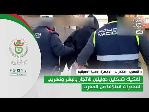 Spanish security services dismantle two international human trafficking and drug smuggling networ...