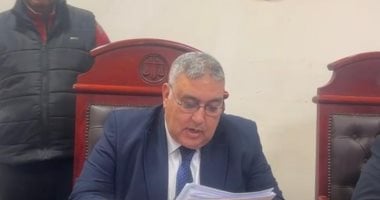 إحالة أوراق المتهمة بقتل ابنتها الرضيعة بالبحيرة إلى المفتى