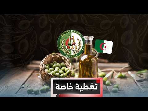 تغطية خاصة | المعرض الدولي لزيت الزيتون.. مساع لتعزيز الشراكات وتثمين جودة زيت الزيتون الجزائري