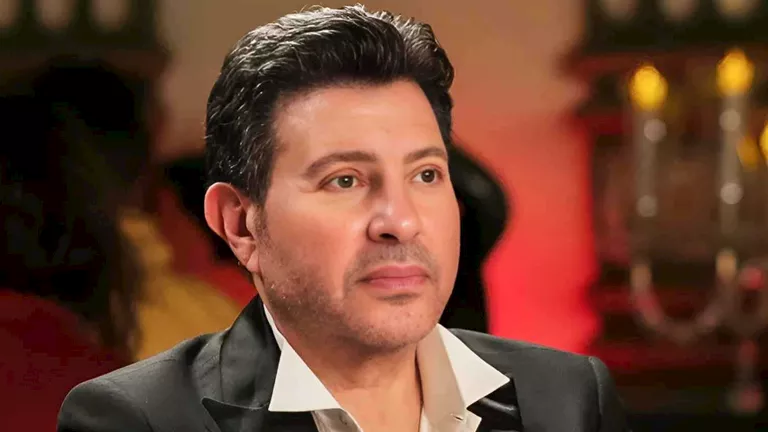 تعرف على فنانات شاركن هاني شاكر بطولة كليباته بينهن حنان ترك وزينة