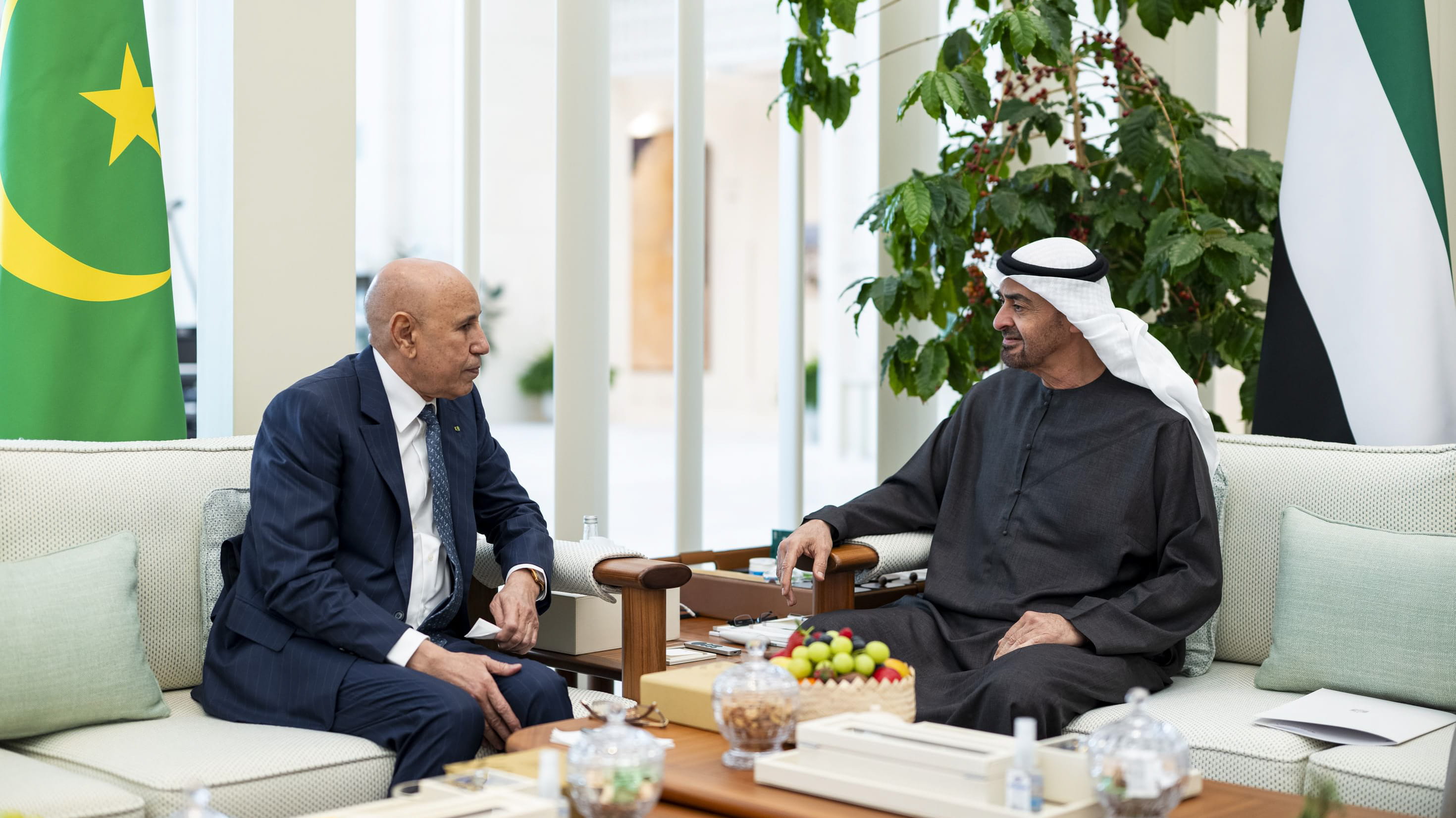 رئيس الدولة والرئيس الموريتاني يبحثان تعزيز التعاون بين البلدين