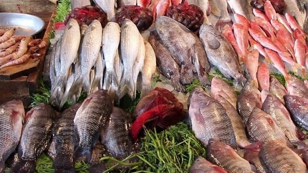 البلطي دون الـ 80 جنيها.. انخفاض أسعار الأسماك اليوم بالأسواق