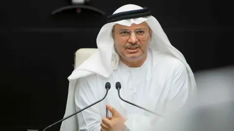 قرقاش: الإمارات تمتلك مقومات تجاوز التحديات بثبات ورؤية راسخة