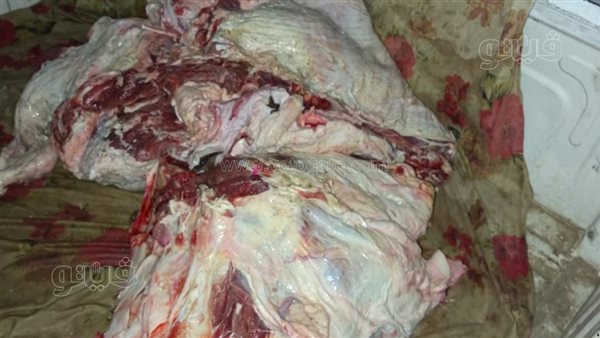 ضبط 364 كيلو جرام لحوم مجهولة المصدر بالقليوبية