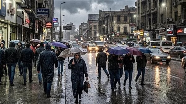 «أمطار وشبورة مائية».. الأرصاد تحذر من تقلبات جوية غدًا|فيديو