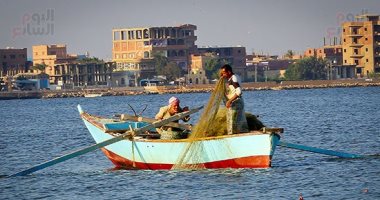 اختصاصات جهاز حماية البحيرات والثروة السمكية.. تطوير حرفة الصيد أبرزها