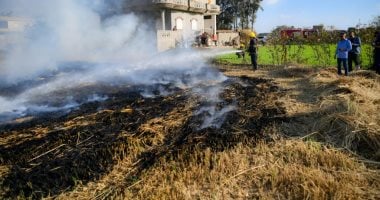 تحويل محطة قها إلى رادار بيئى لتتبع السحابة السوداء من الدلتا